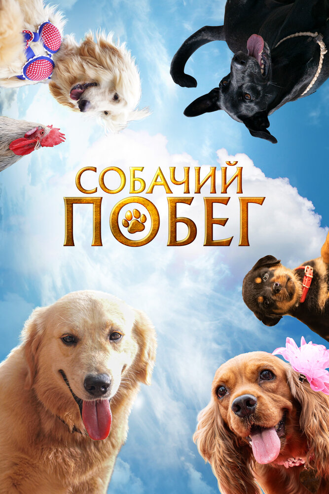 Собачий побег — постер
