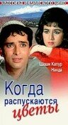Когда распускаются цветы — постер